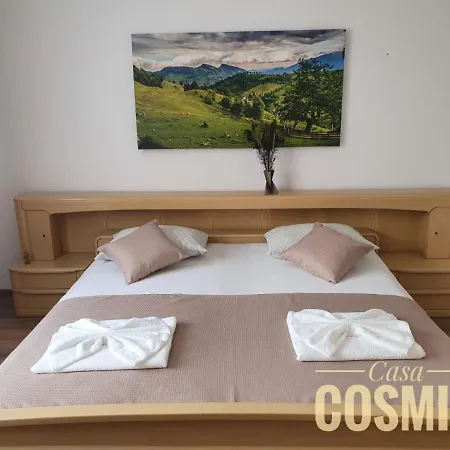 Casa Cosmin Maison d'hôtes *
