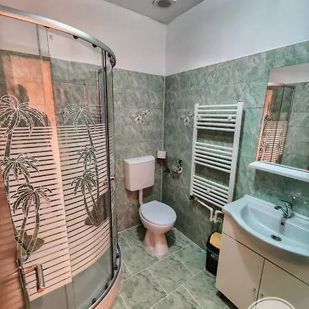 Casa Cosmin Maison d'hôtes Cincu